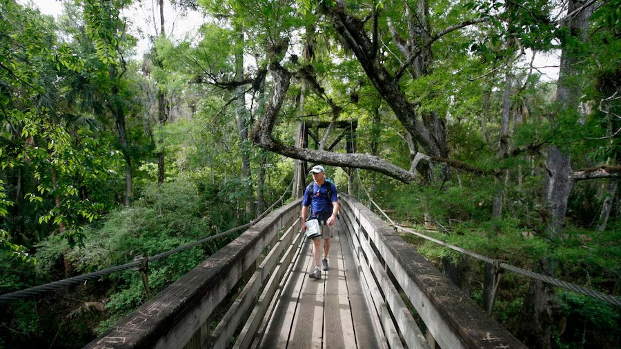 CT- DeSantis State Parks.jpg